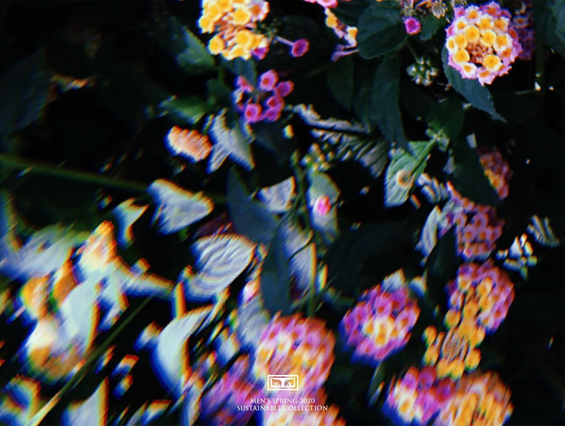 OBEY Spring Summer lookbook cover